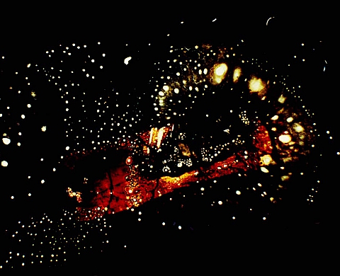 Exposition : «Détournements» à Nice, par Alain Coussement