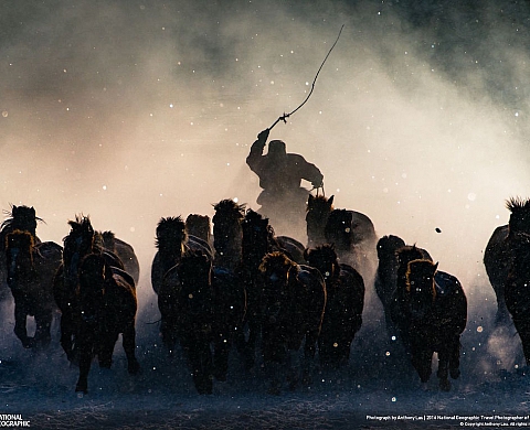 Les meilleurs photographes de voyage 2016 selon National Geographic