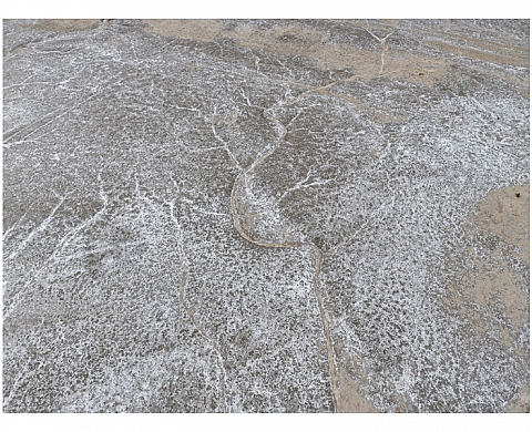 Exposition : «Last water war, ruins of a future» à l'Institut du Monde arabe