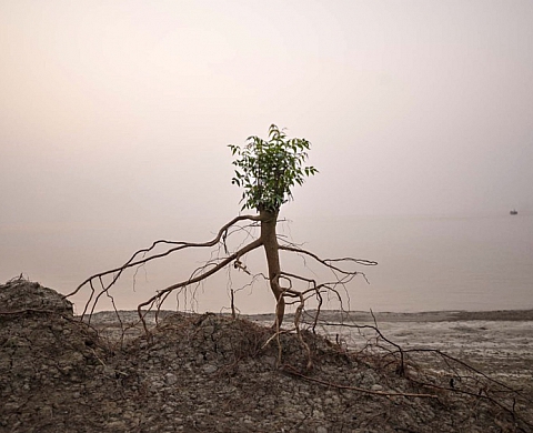 Exposition : «Sur les rives de Ghoramara» au Passage Sainte-Croix