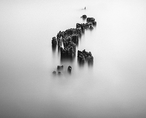 Exposition : «Géographie de l'Utopie» d'Israël Guerrero