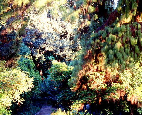 Exposition : «Augures» de Daphné Boussion