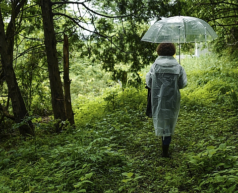 Exposition : «Fukushima : l'invisible révélé» à la MEP Exposition : «Fukushima : l'invisible révélé» à la MEP