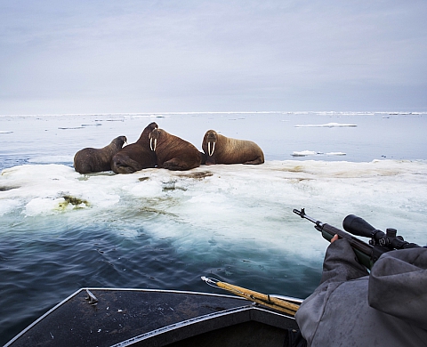 Getty Images dévoile les gagnants 2016 de sa Bourse pour la Photographie Éditoriale