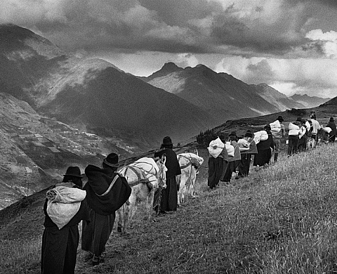 Les « Exodes » contemporains vus par Salgado Les « Exodes » contemporains vus par Salgado