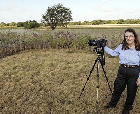 David contre Goliath : Carol Highsmith vs Getty Images