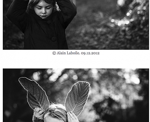 Alain Laboile accuse Niki Boon de plagiat