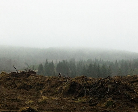 Exposition : « Je vois le Ciel au fond du puits » de Julie Navarro