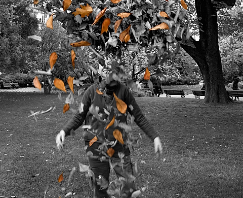 Exposition : « Le Génie des Jardins » dans le 11 arrondissement