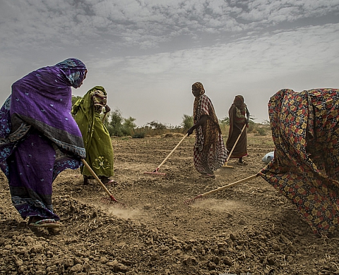 Exposition : « Chroniques tchadiennes. Regards vers l'Est » de Frédéric Noy
