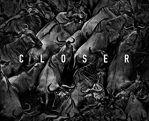 « Closer  » : l'invitation au voyage de Tomasz Gudzowaty « Closer  » : l'invitation au voyage de Tomasz Gudzowaty