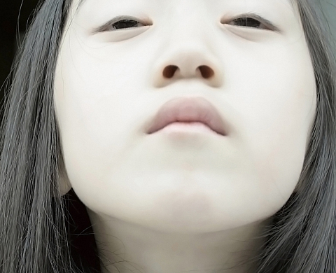 Exposition : « Silence » au Domaine du Tournefou