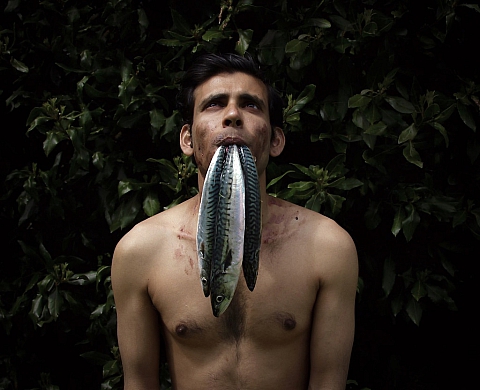 Exposition : BODYscape