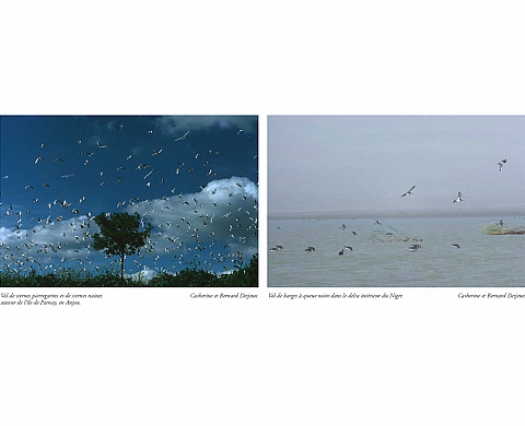 Exposition : « Niger et Loire, fleuves de vie » de Catherine et Bernard Desjeux Exposition : « Niger et Loire, fleuves de vie » de Catherine et Bernard Desjeux