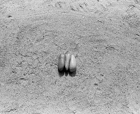 Exposition : « Seeing / Measuring / ... » de Keiji Uematsu Exposition : « Seeing / Measuring / ... » de Keiji Uematsu