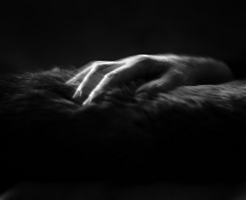 Exposition : « Aperte de vue » de Alain Janssens 