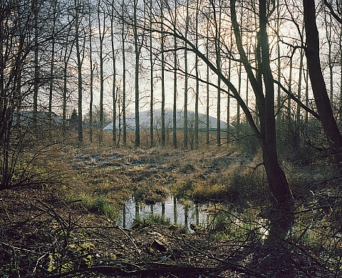 Exposition : « Pavillons et Totems »