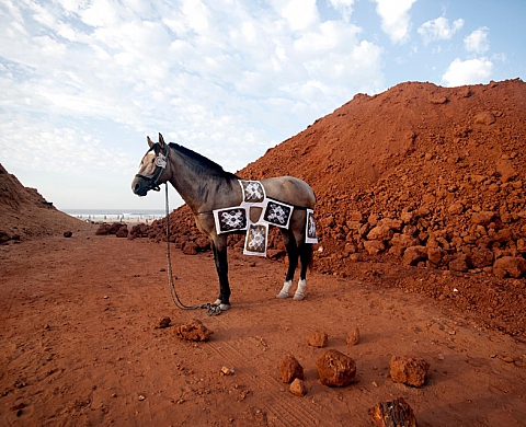 Exposition : « Manège à images et autres ensembles #2 » - Régionale 2017