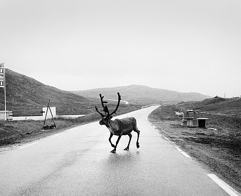 Exposition : « Europe » de Jef Bonifacino