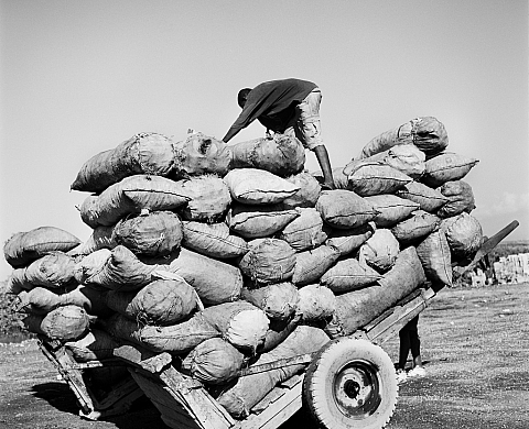 Exposition : « Haïti. Libération sans fin » de Thomas Kern