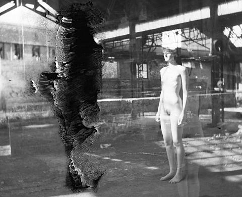 Exposition : « Immersions sensibles » au Palais de l'Archevêché, Arles