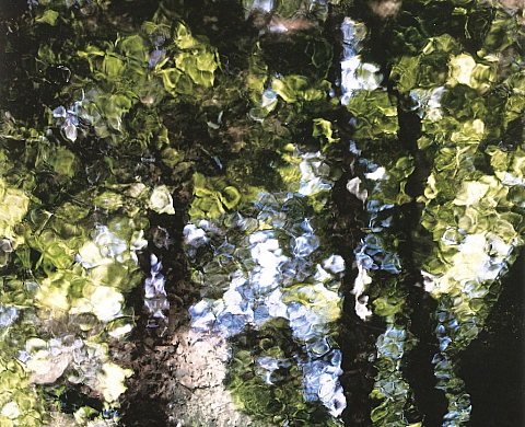 Exposition : Art contemporain et photo au domaine de Chaumont-sur-Loire