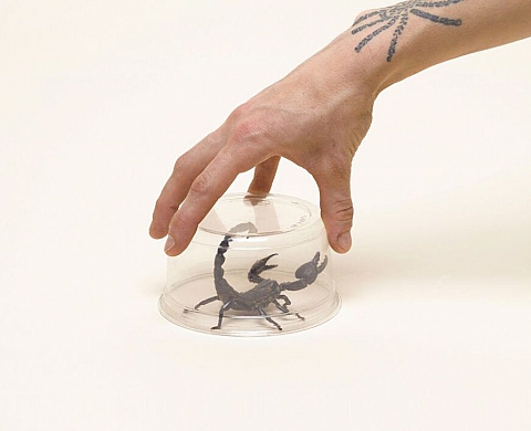 Exposition : « Unnamed feelings » de Caroline Delieutraz Exposition : « Unnamed feelings » de Caroline Delieutraz
