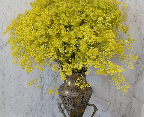Exposition : La photographe Françoise Saur expose à La Chambre