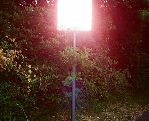 Exposition : « Good luck with the future » par Rita Puig-Serra-Costa et Dani Pujalte