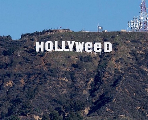 « Hollyweed », la récidive 40 ans après