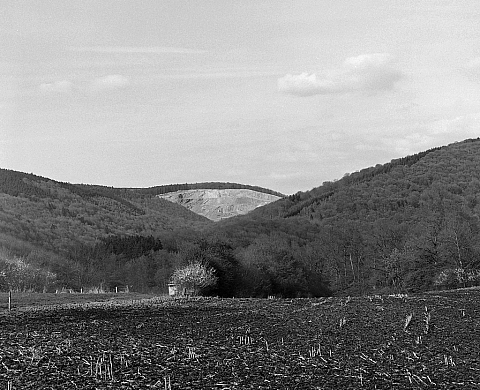 Exposition : « Battements de cœur, battements de paupières »