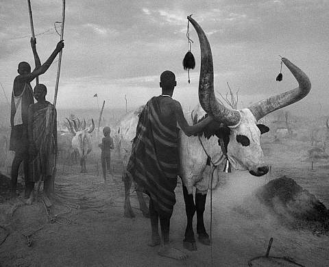 Exposition : « Africa » - Salgado