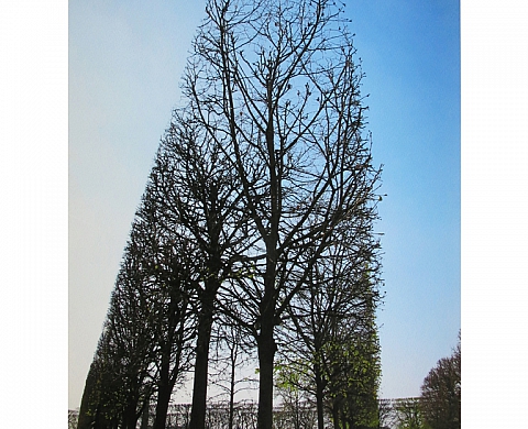 Exposition : « Pastels et Photographies » à la galerie Magali Nourissat