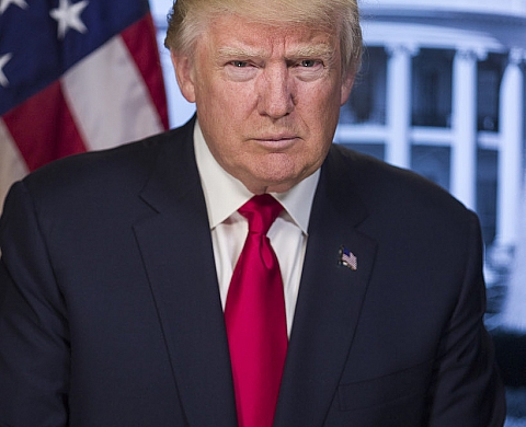 Donald Trump a son portrait officiel en ligne