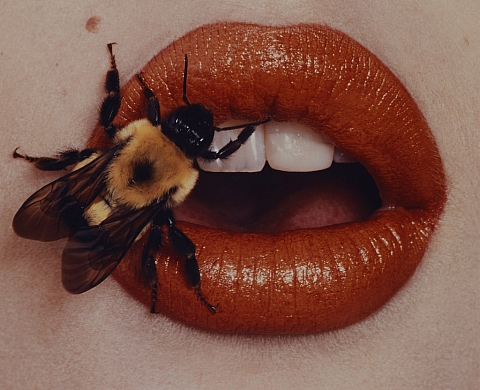 « Beyond Beauty », l'expo des photos d'Irving Penn que personne n'a jamais vues