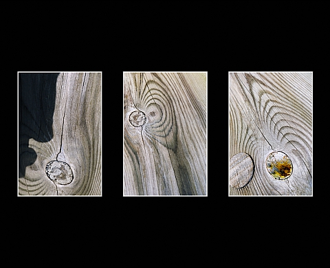 Exposition : le Salon des Artistes Français débute le 15 février