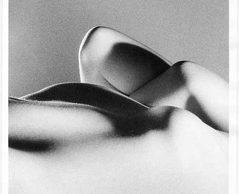 Exposition : « Anatomie du Paysage » au musée Réattu