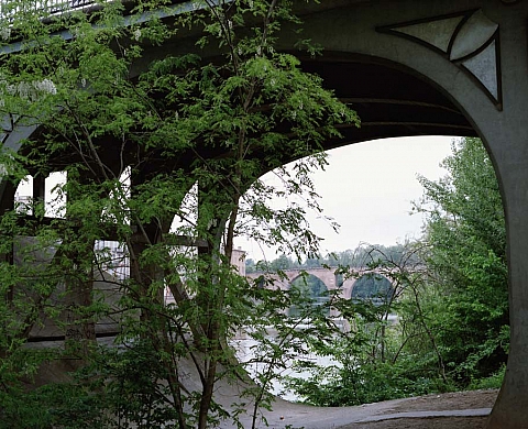 Exposition : « Rêver de paysages et de lions au bord de la mer »