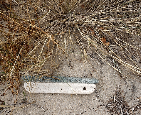 Exposition : « l’Art de la Trace » de Nathalie Tirot