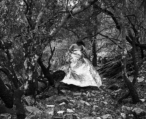 Exposition : « Relative dating » d'Olga Stefatou