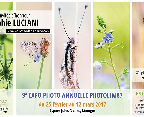 Exposition : « LIMOGES EXPO PHOTO #9 » Exposition : « LIMOGES EXPO PHOTO #9 »