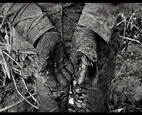 Exposition : « Main basse sur la terre » de Marie Dorigny