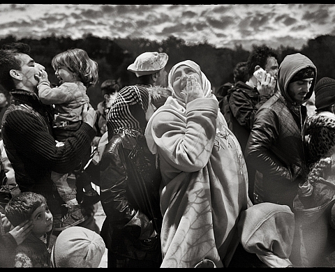 Exposition : « Displaced, femmes en exil » de Marie Dorigny