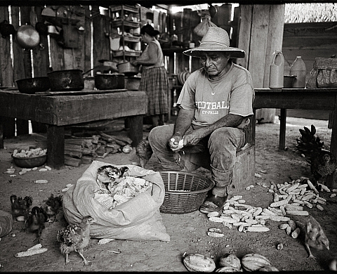 Exposition : « Main basse sur la terre » de Marie Dorigny