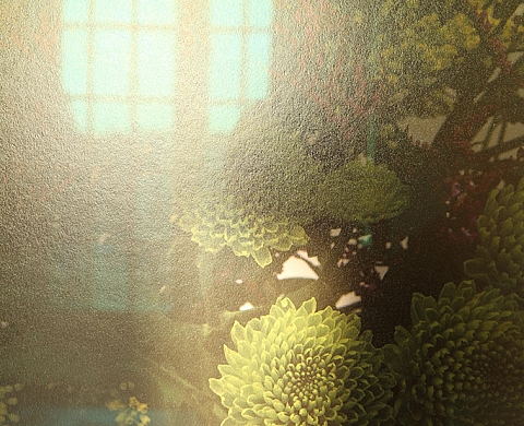 Exposition : « Un chien sur la route, au passage du promeneur » de Marie José Burki 