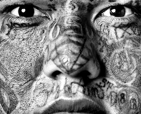 Exposition : Les Rencontres de la jeune photographie internationale 2017/Niort