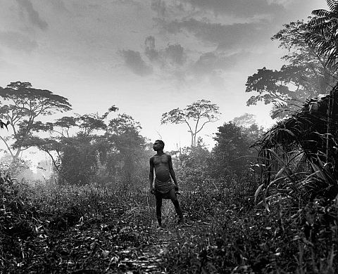 Exposition : 30ème Salon photo international de Riedisheim