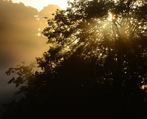 Exposition : « Paysages du Vent » de Céline Lecomte