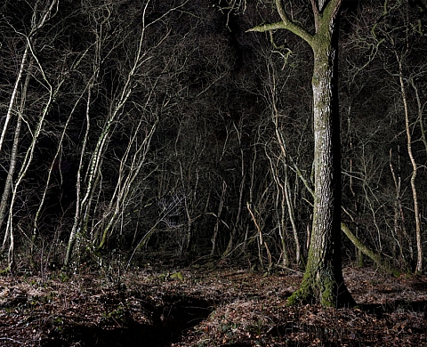 Exposition : « Ecoumène » de Mael Le Golvan