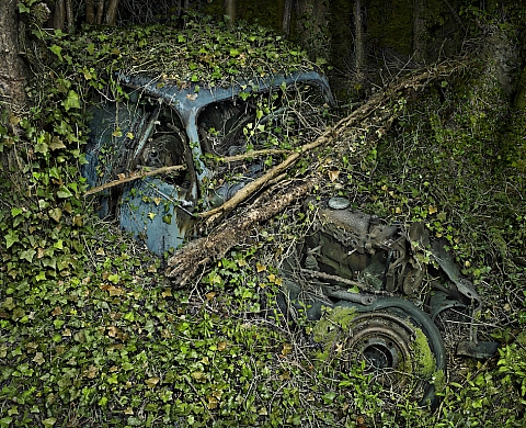 Exposition : « Autophoto » à la Fondation Cartier pour l'Art Contemporain